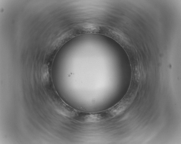 X0000070370320200606161324