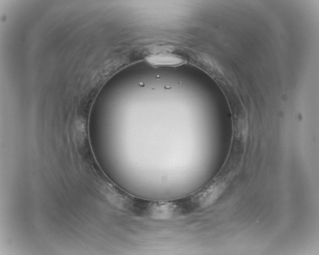 X0000070370321200606161324