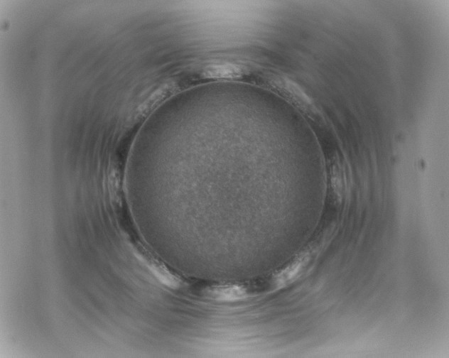 X0000070370322200606161324