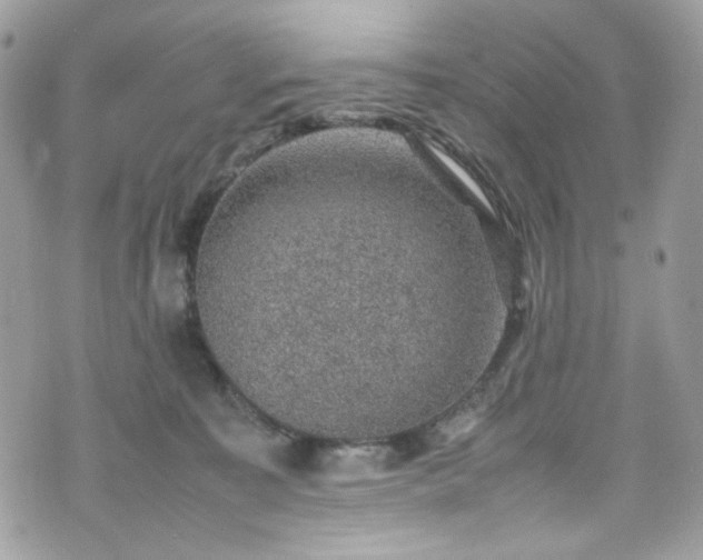 X0000070370323200606161324