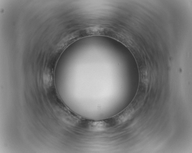 X0000070370324200606161324