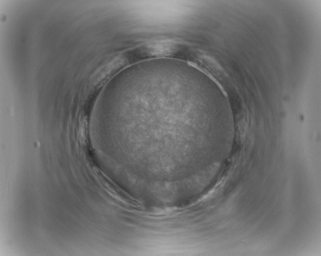 X0000070370325200606161324