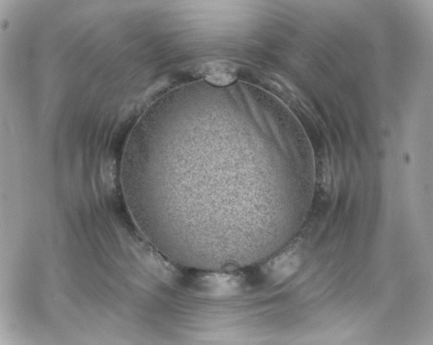 X0000070370326200606161324