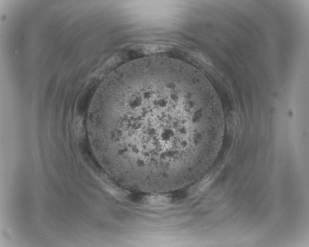 X0000070370327200606161324