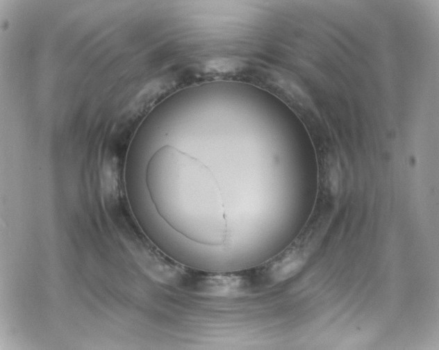 X0000070370328200606161324