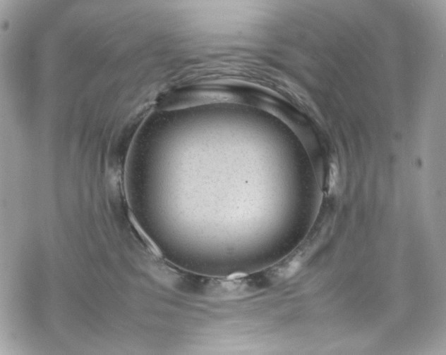 X0000070370329200606161324