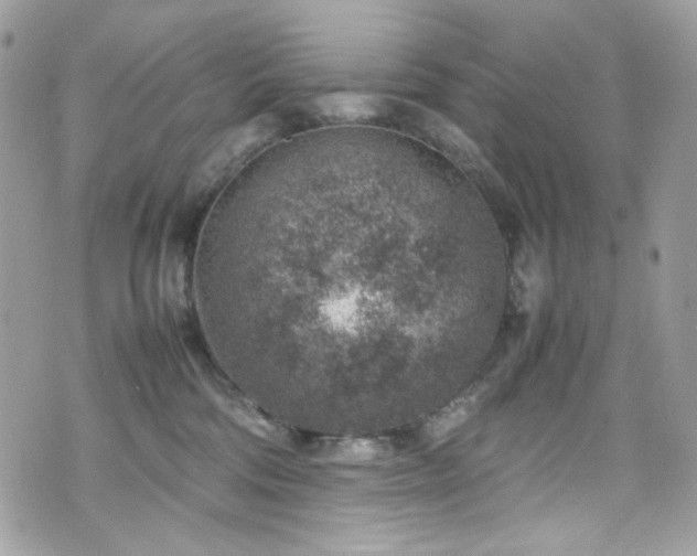 X0000070370330200606161323