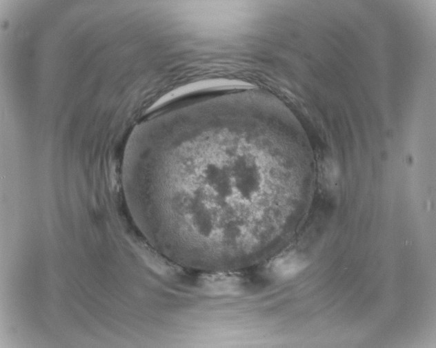 X0000070370331200606161323