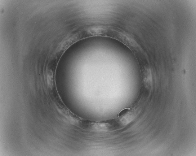 X0000070370332200606161323