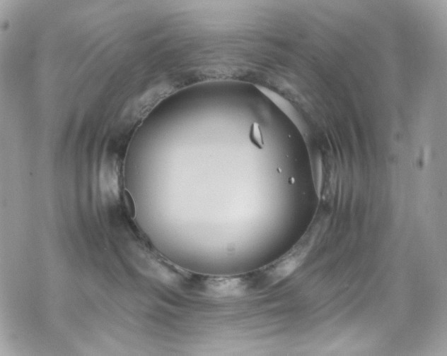 X0000070370334200606161323