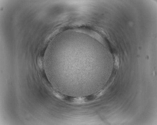 X0000070370335200606161323