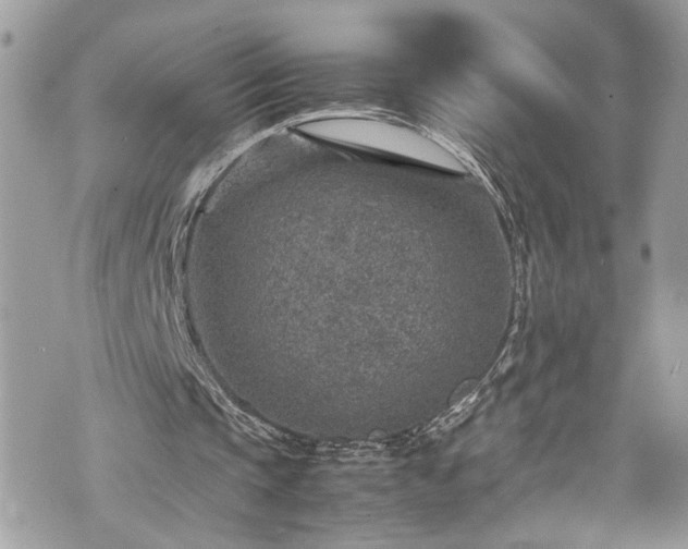 X0000070370337200606161323