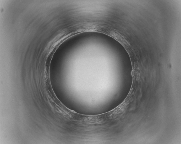 X0000070370338200606161323