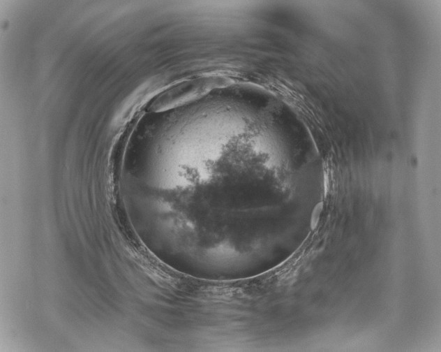 X0000070370339200606161323