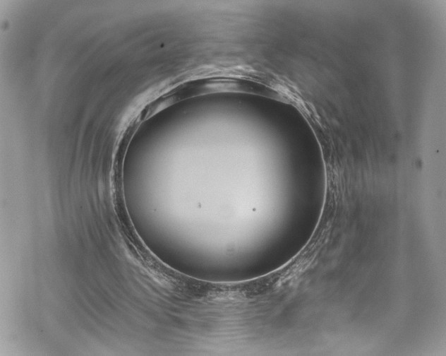 X0000070370340200606161323