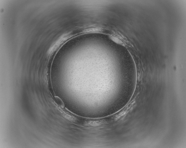 X0000070370341200606161323