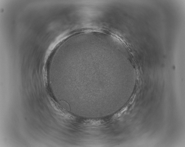 X0000070370343200606161323