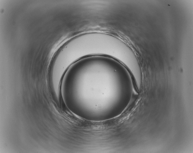 X0000070370344200606161323