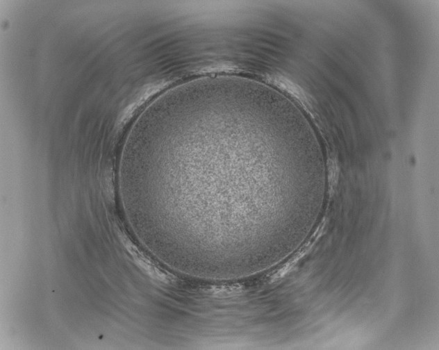 X0000070370345200606161323