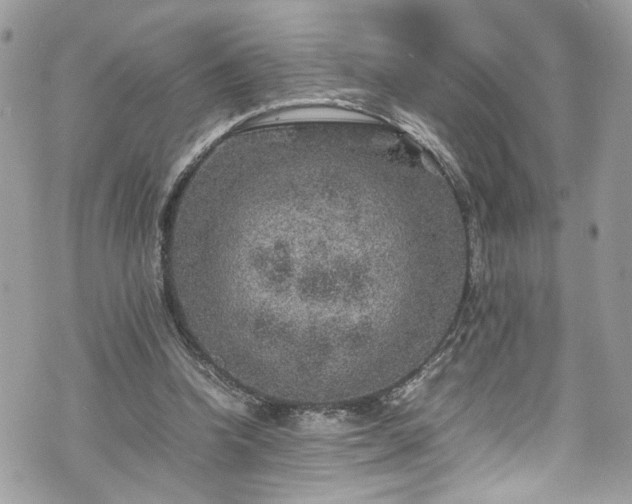 X0000070370346200606161323