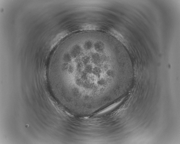 X0000070370347200606161323