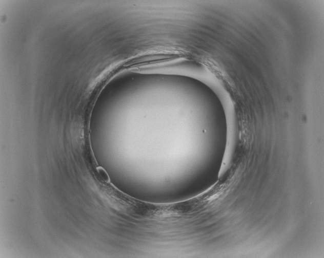 X0000070370348200606161323