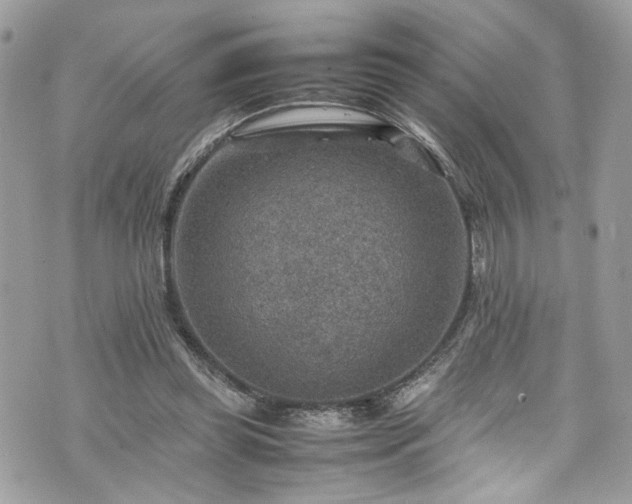 X0000070370349200606161323