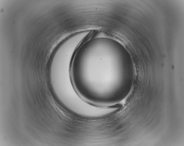 X0000070370350200606161323