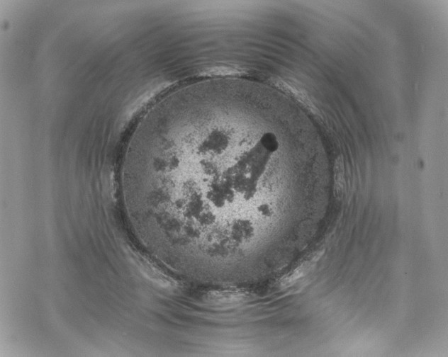 X0000070370351200606161323