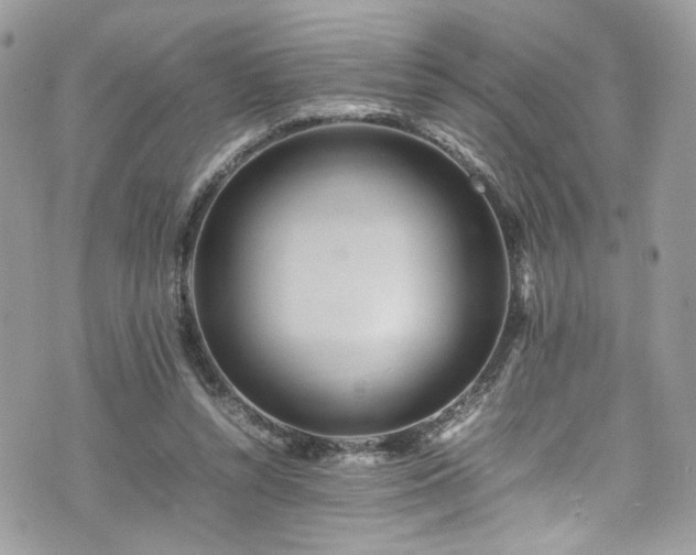 X0000070370352200606161323