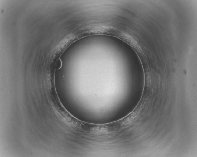 X0000070370354200606161323