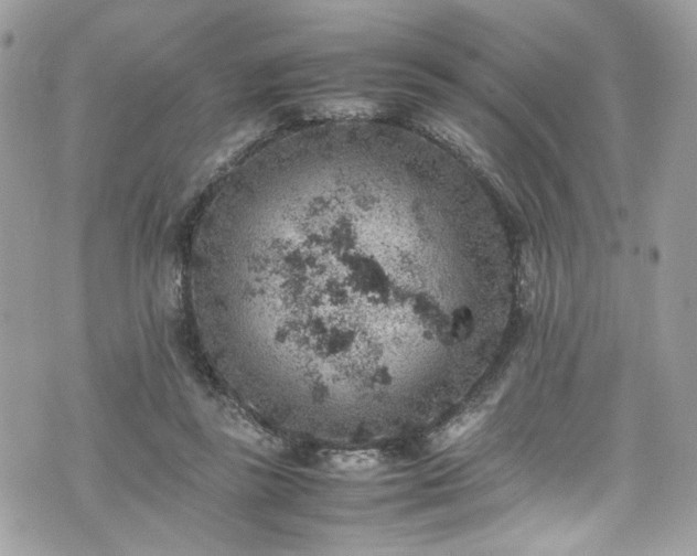 X0000070370355200606161323