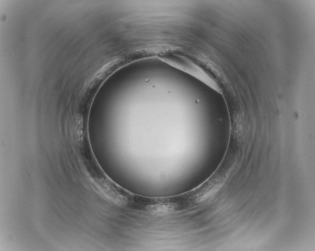 X0000070370356200606161323