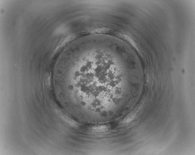 X0000070370357200606161323