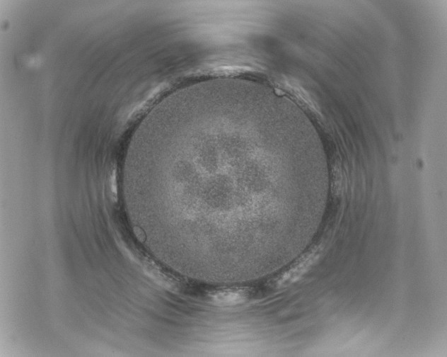 X0000070370358200606161323