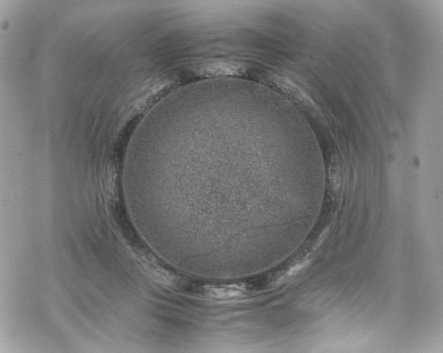 X0000070370359200606161323