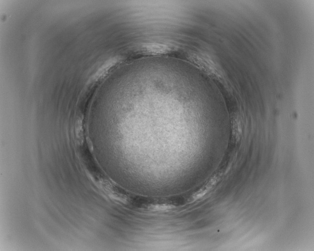 X0000070370360200606161323