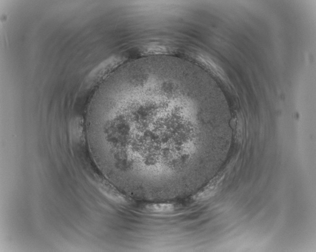 X0000070370361200606161323