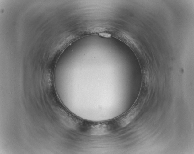 X0000070370362200606161323