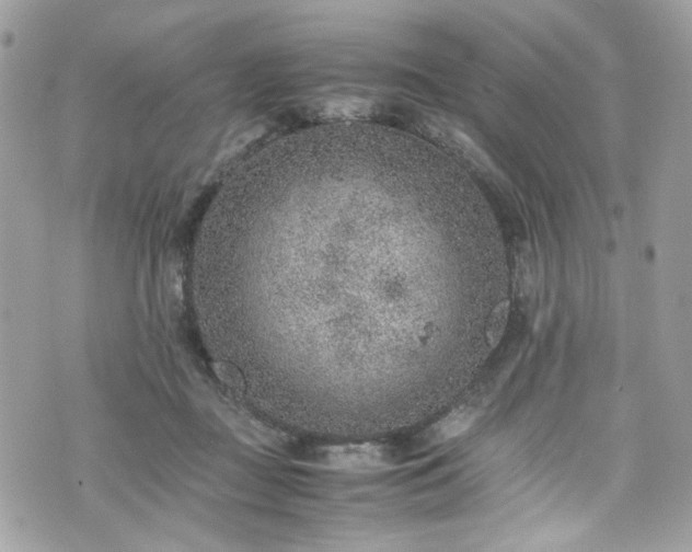 X0000070370363200606161323