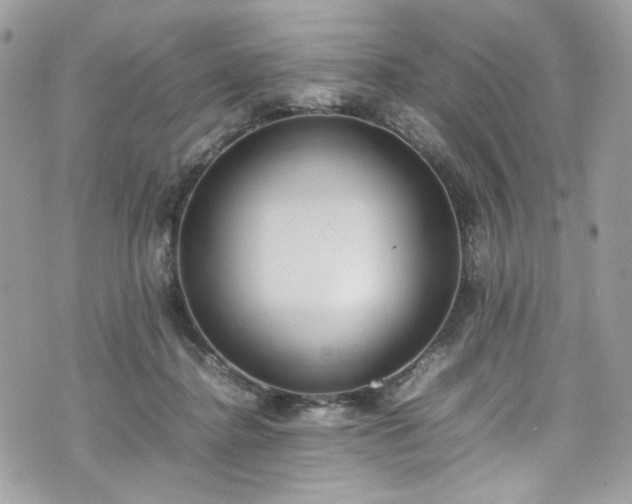 X0000070370364200606161323