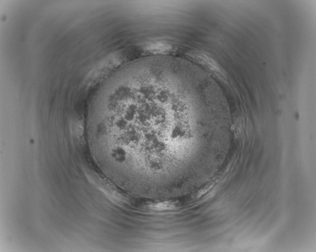 X0000070370365200606161323