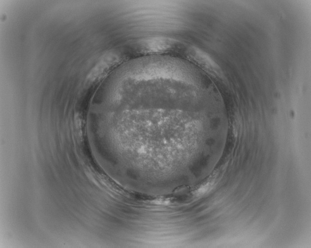 X0000070370366200606161323