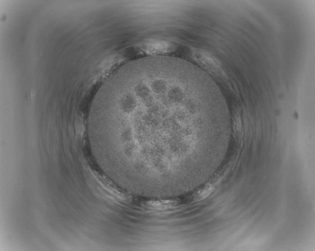 X0000070370367200606161323