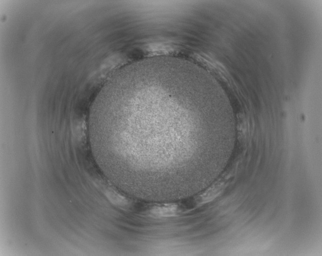 X0000070370369200606161323