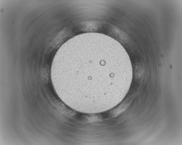 X0000070370370200606161323