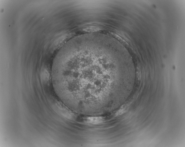 X0000070370371200606161323