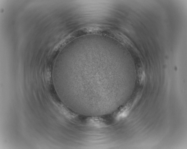 X0000070370372200606161323