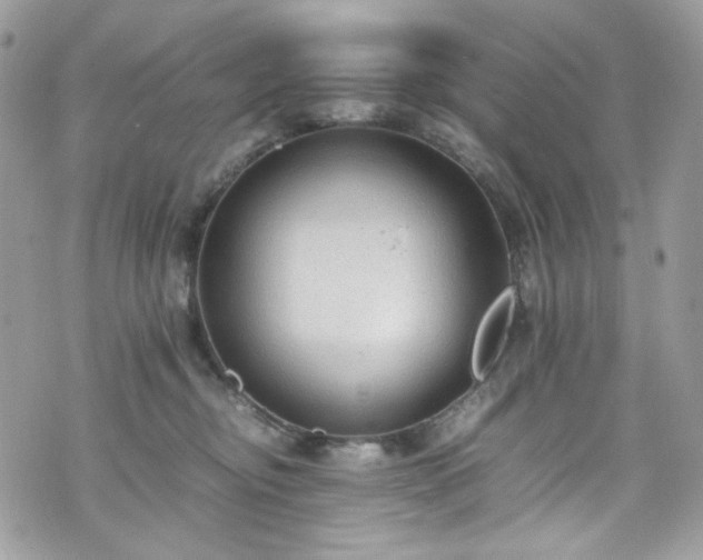 X0000070370374200606161323