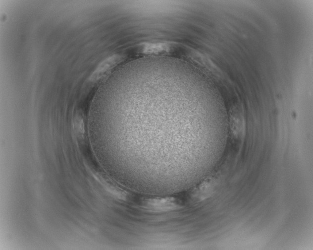 X0000070370375200606161323